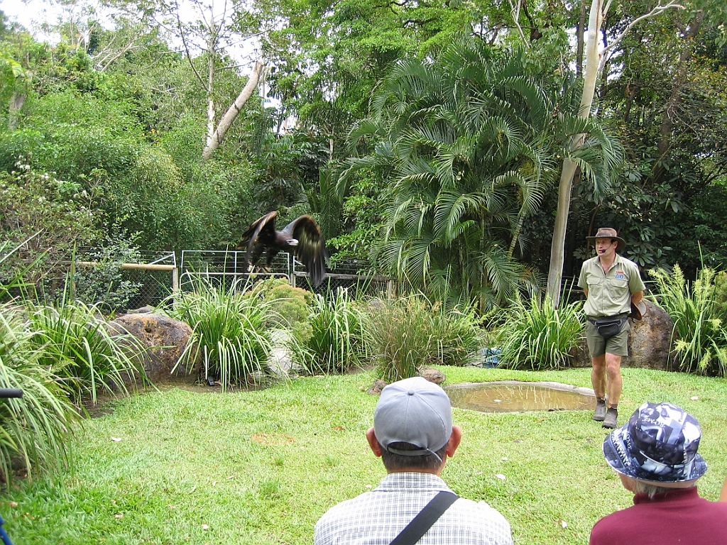 116 Cairns Tropical Zoo.jpg